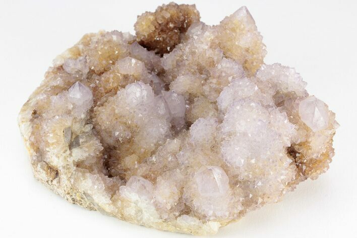Cactus Quartz (Amethyst) Crystal Cluster - South Africa #206193